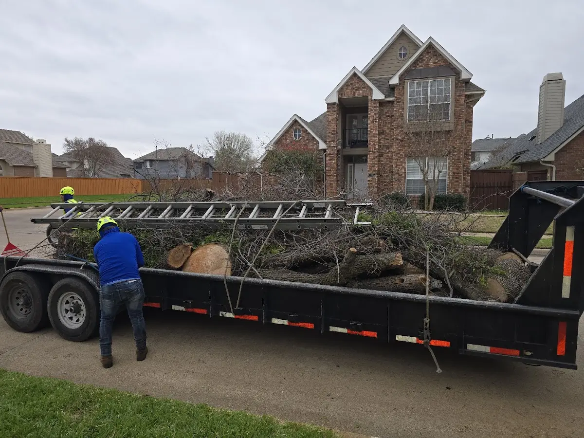 Expert Tree Removal with proper safety equipment in Leedey